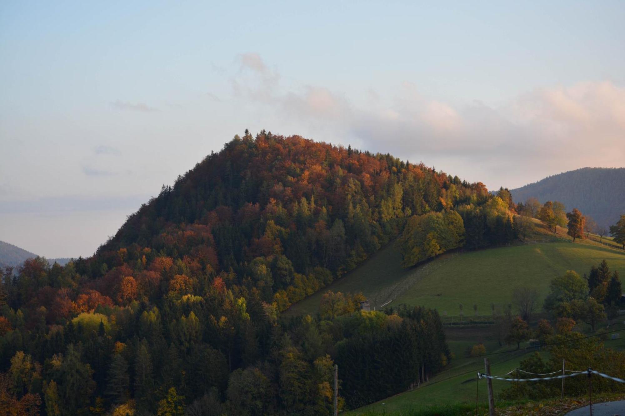 Ferienhaus Reisinger Promschhof Semriach Exterior foto